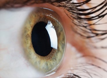 Cornea-Service